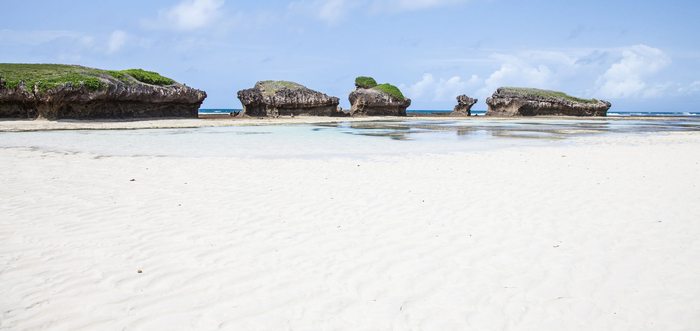 Sky Villa Diani